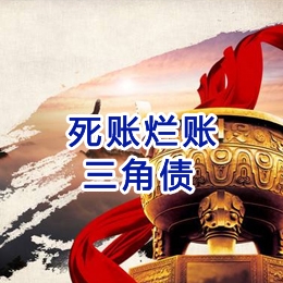 海盐要债公司